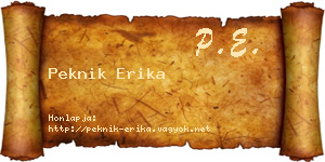 Peknik Erika névjegykártya